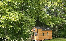 Micro Maison bois / Tiny house au calme